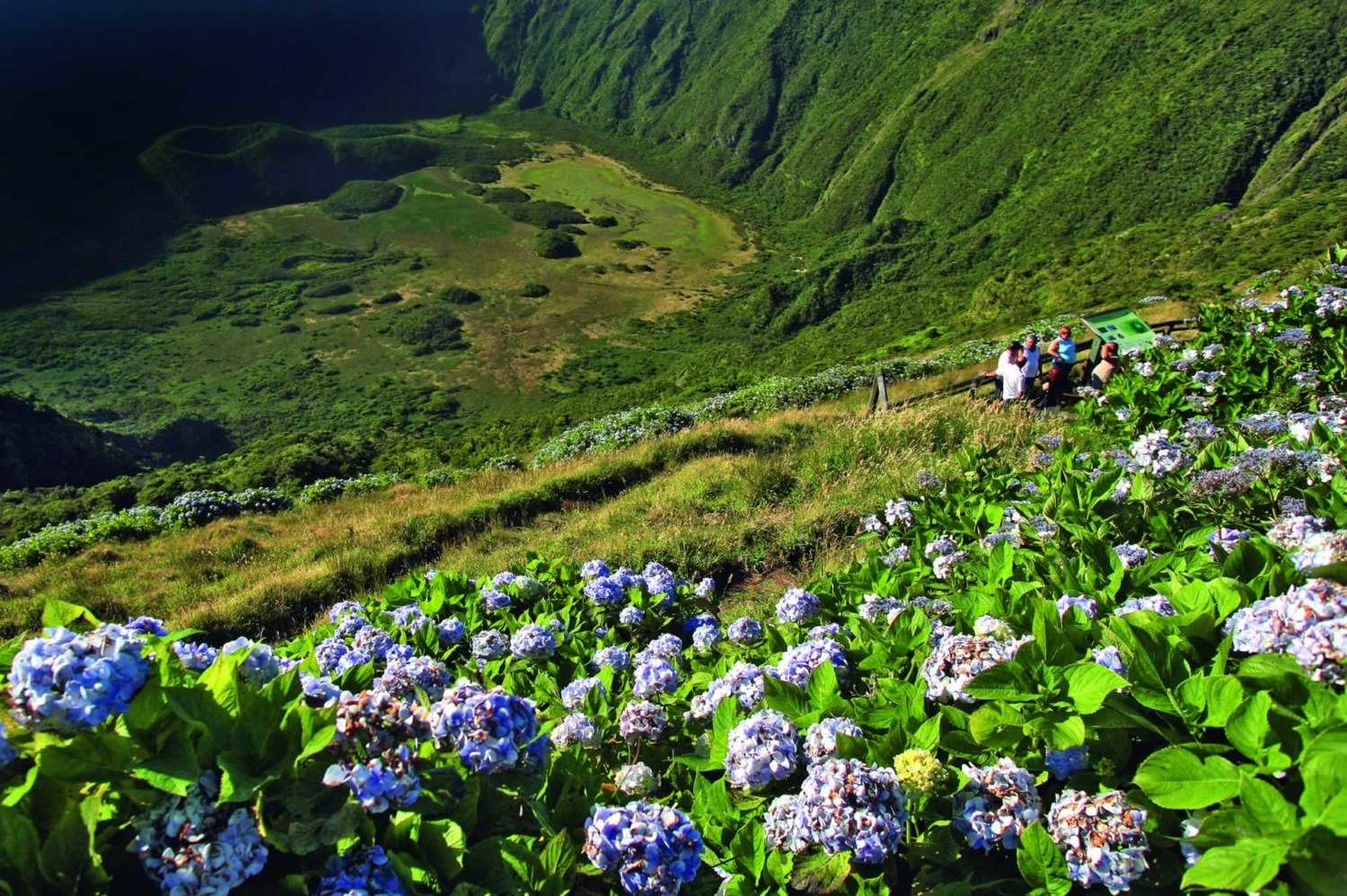 Île de Faial - Archipel des Açores