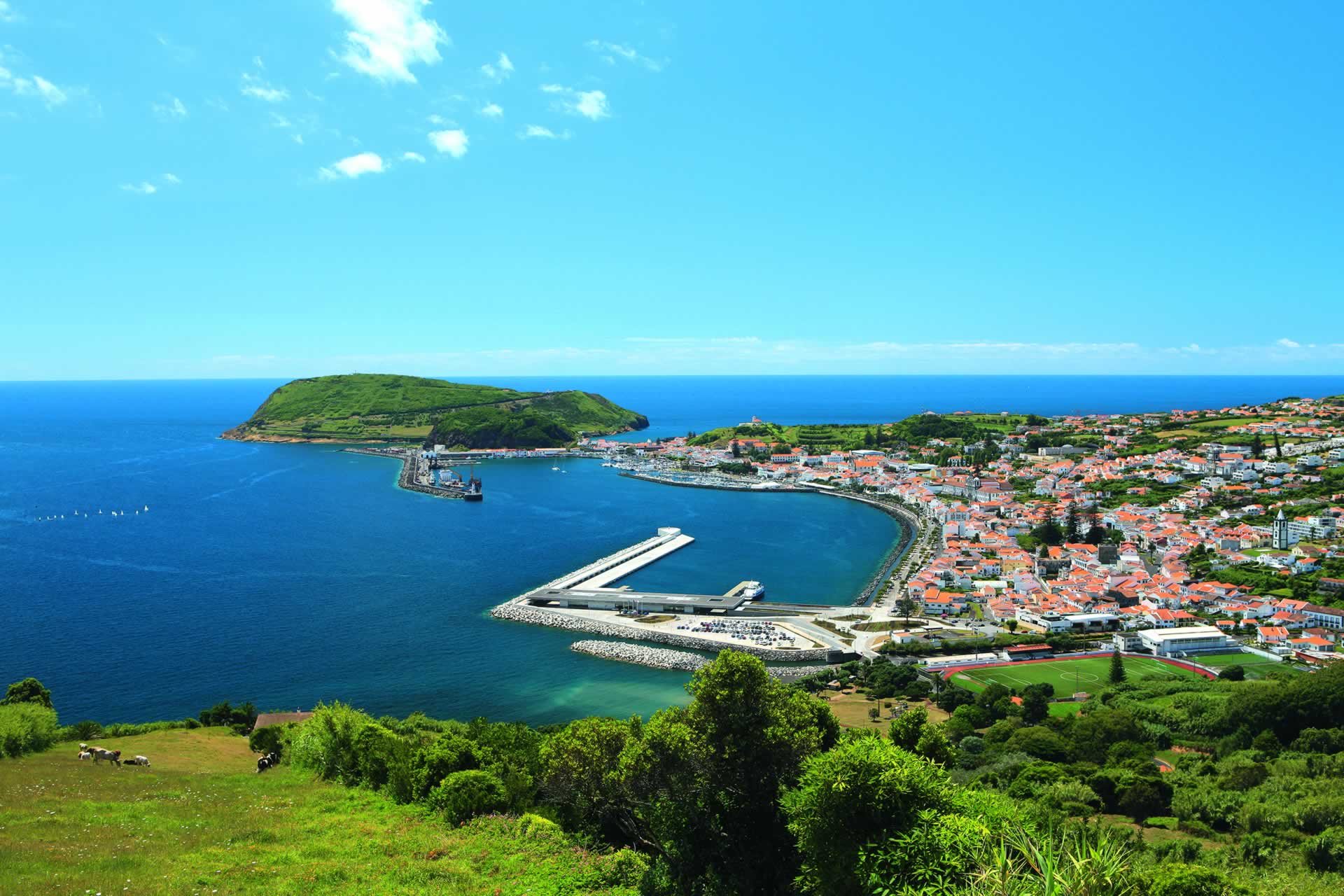 Île De Faial Archipel Des Açores 7978